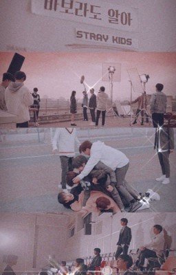 Реакции Stray Kids