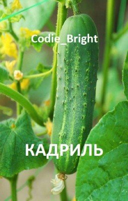 Кадриль