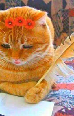 Записки Котейки