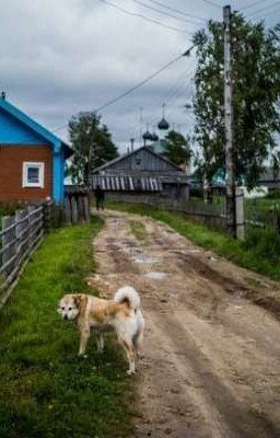 деревня