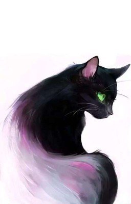Мой котик