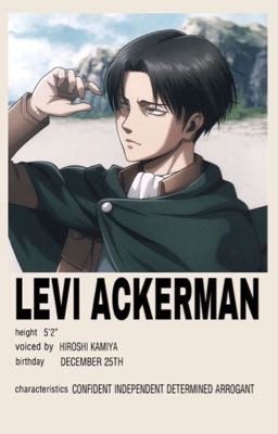 ATTACK ON TITAN | Y/N & LEVI.