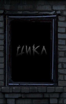 Цикл