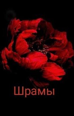 Шрамы