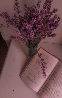 Лавандовый чай.