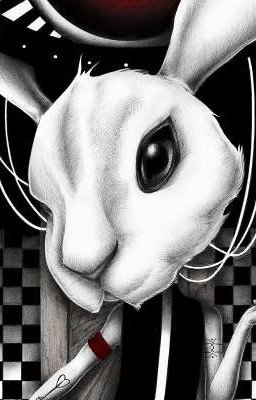 🥵Hidden white rabbit! 🔞D&J!🤤.