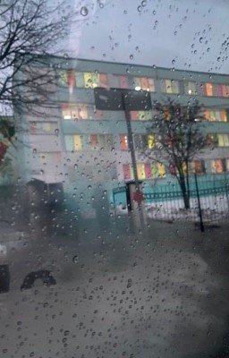 Школа непослушания