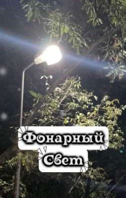 Фонарный свет
