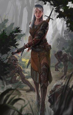 Вы во вселенной The Witcher 3 (+ DLC)
