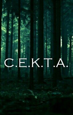 С.Е.К.Т.А.