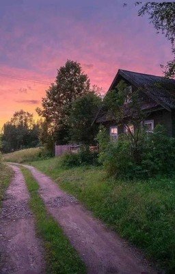 Поездка в деревню