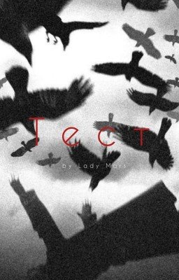 Тест