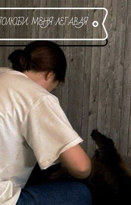 Полюби меня Легавая....