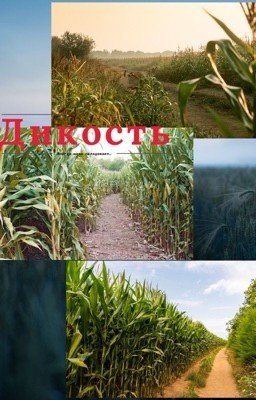 Дикость
