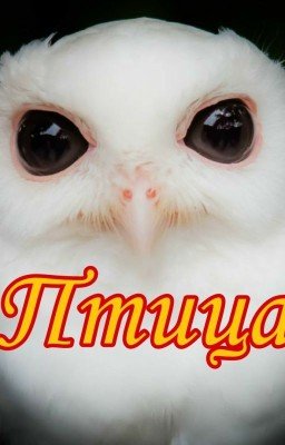 Птица