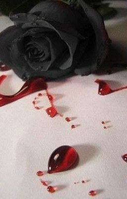 Black rose