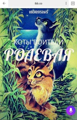 коты воители ролевая