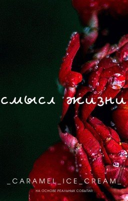 Смысл жизни