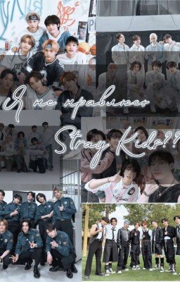 Я не нравлюсь Stray Kids [ЗАМАРОЖЕНО]