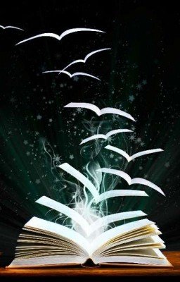 Интересные и забавные факты о моих книгах