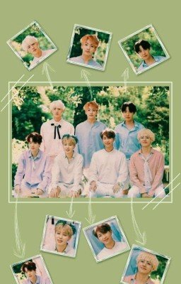 реакции BTS