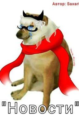 Новости