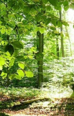 Замухрышка И Красавчик
