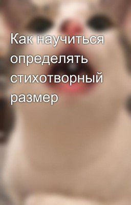 Как научиться определять стихотворный размер