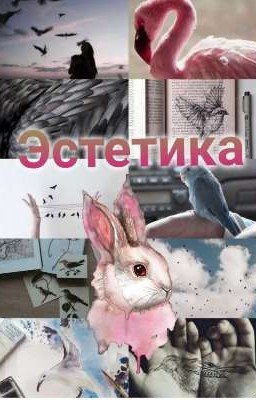 Эстетика фото