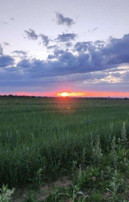 Закатное солнце
