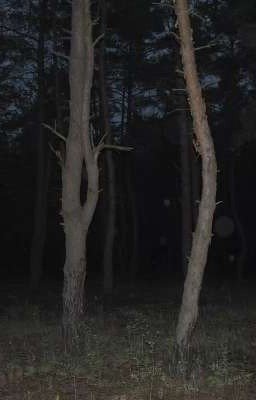 сон
