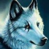 user08930223