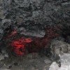 aigul-grigoreva