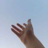 user07029304