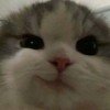 alionakuzx