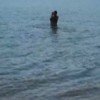 user24968297