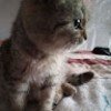 user40551737