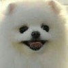 user72965901