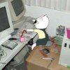 mindjd