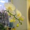 vanja0208