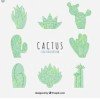 funcactus