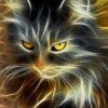cat-like
