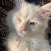 andreeva1111