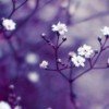 user26145155