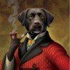 mrdog-aka-alexey