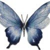popcoar