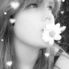 user24039160
