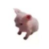 user25908424