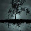 deadly-night