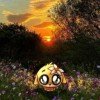 uuuuuuu990
